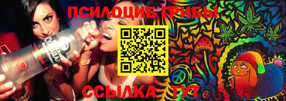 Тобольск  Галлюциногенные грибы Psilocybine cubensis  Вход с VPN 